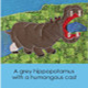 Hippo page