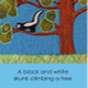 Skunk page